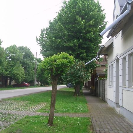 Apartments-Mini-Hotel Csongrád Cameră foto