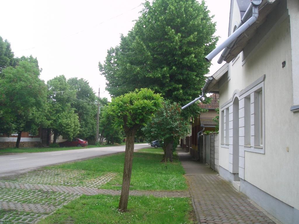 Apartments-Mini-Hotel Csongrád Cameră foto